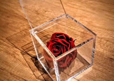 Scatola per rosa